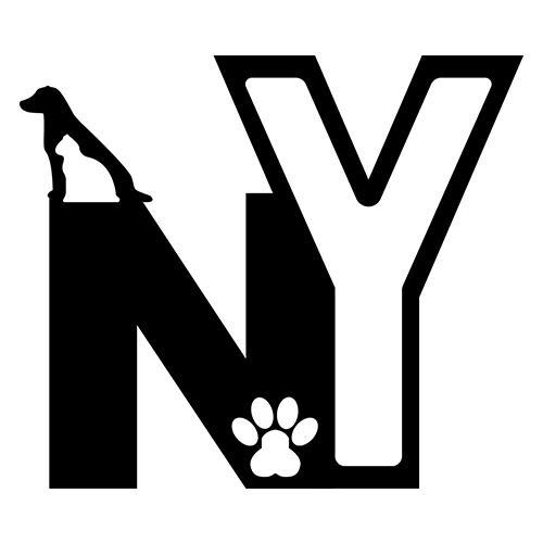 NY