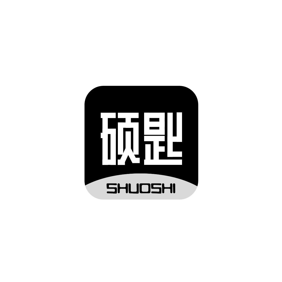 硕匙SHUOSHI+图形
