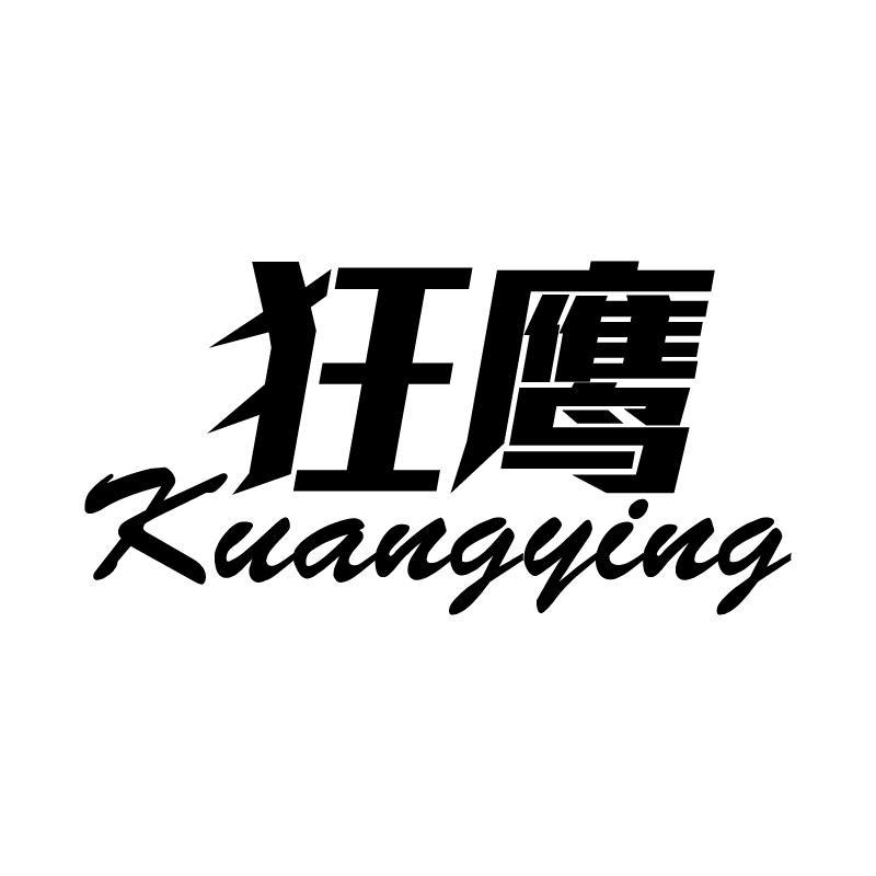 狂鹰