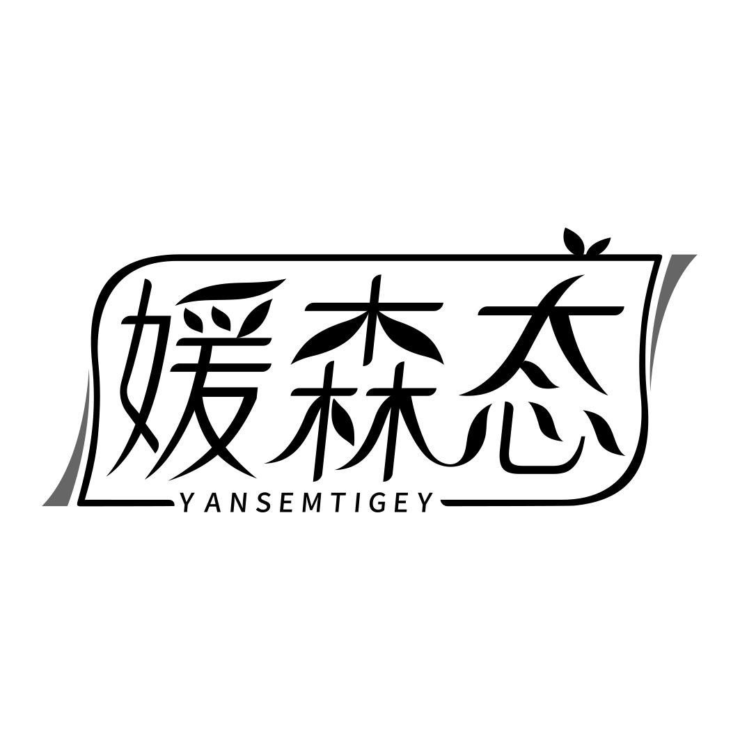 媛森态 YANSEMTIGEY