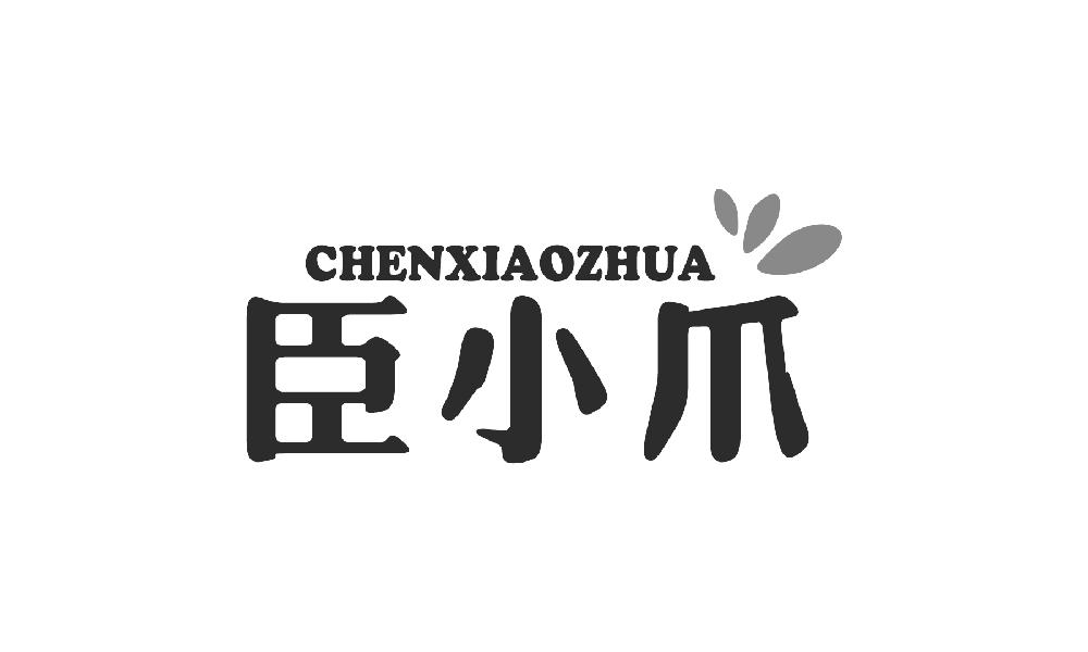 臣小爪