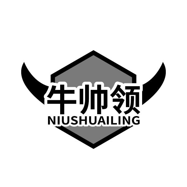 牛帅领
NIUSHUAILING