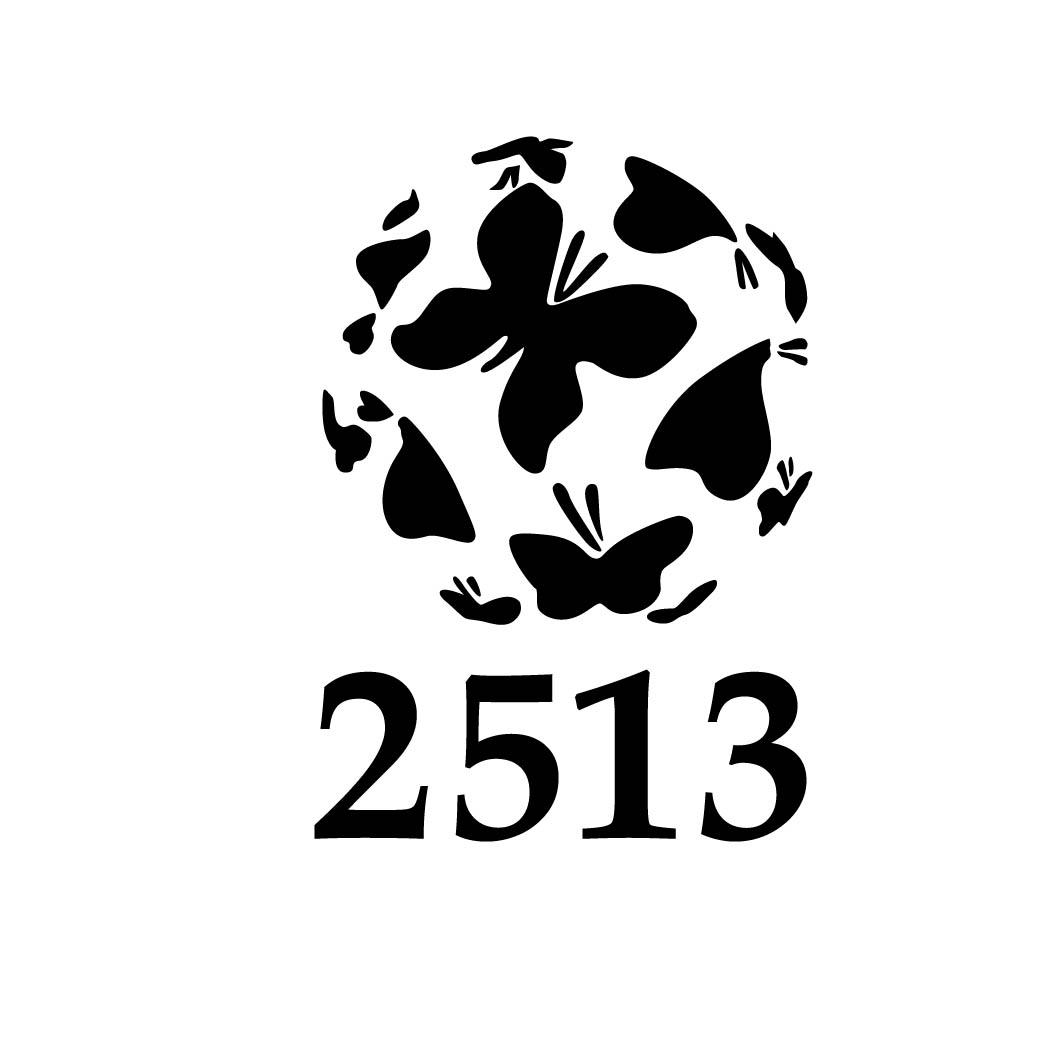 2513