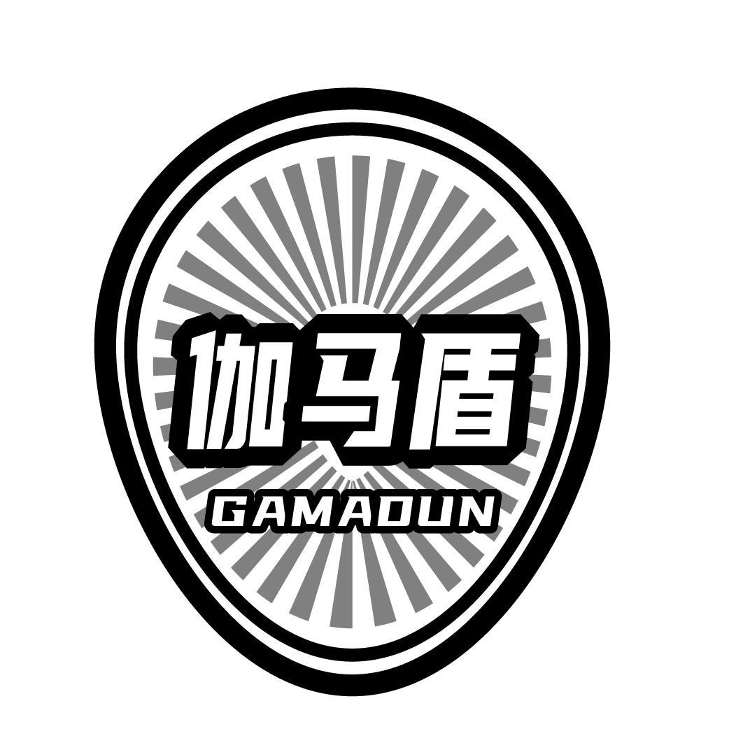 伽马盾