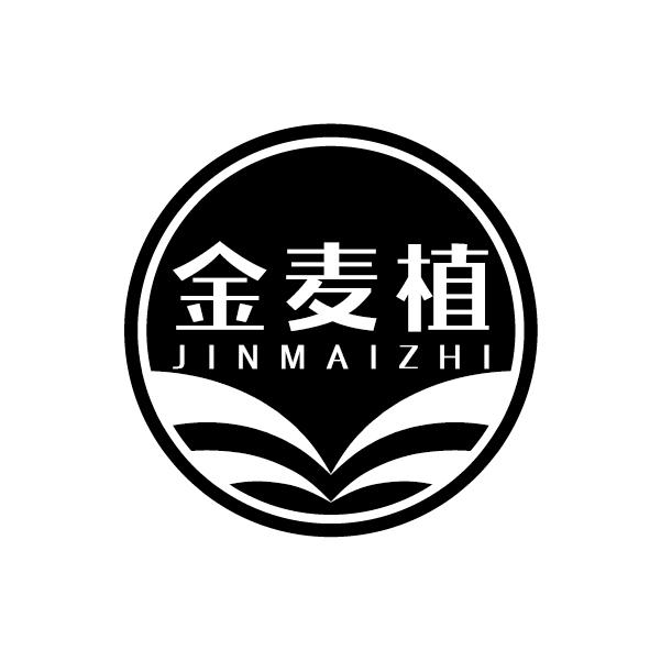 金麦植