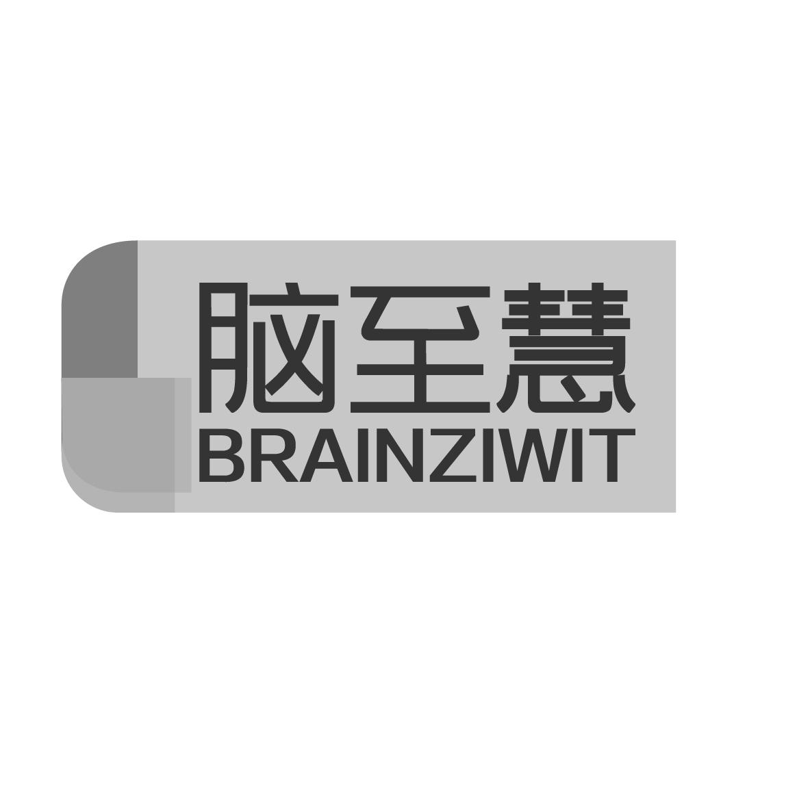 脑至慧 BRAINZIWIT