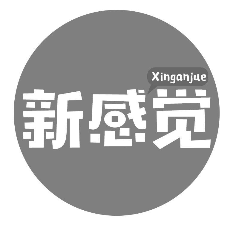 新感觉