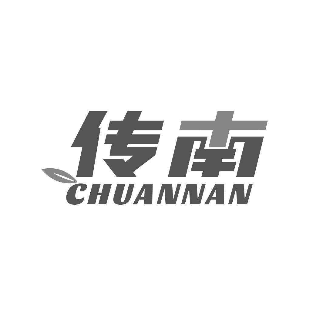 传南