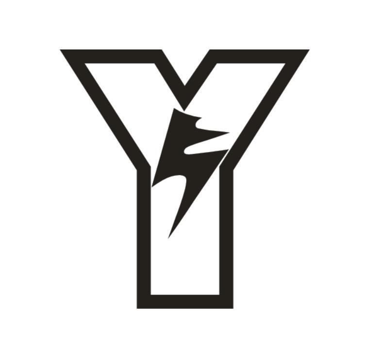 Y5
