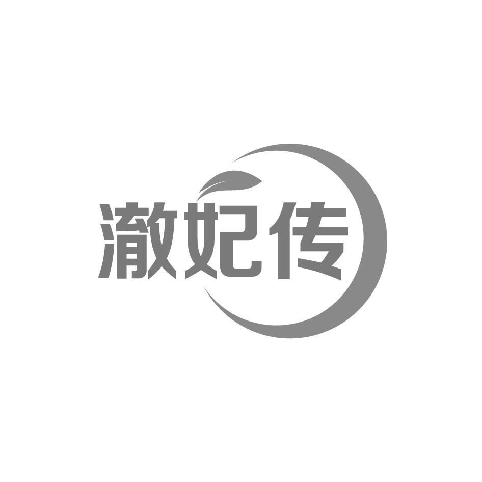 澈妃传