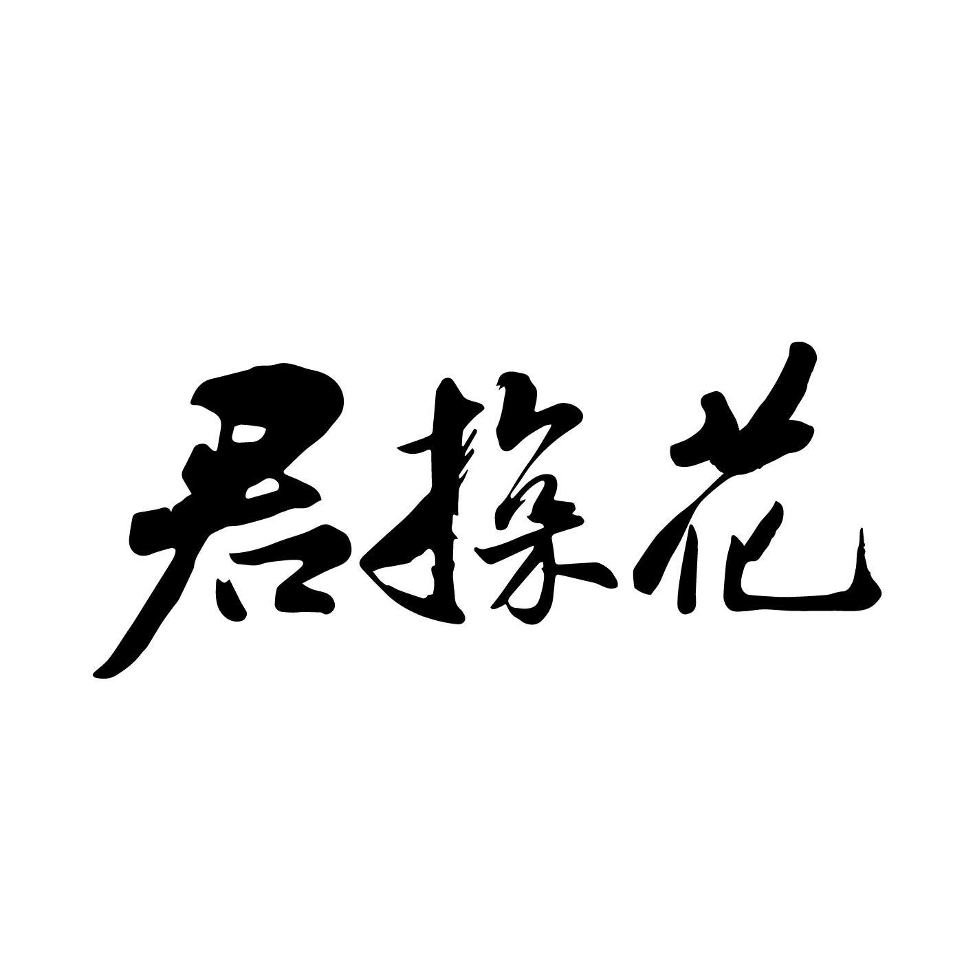 君探花