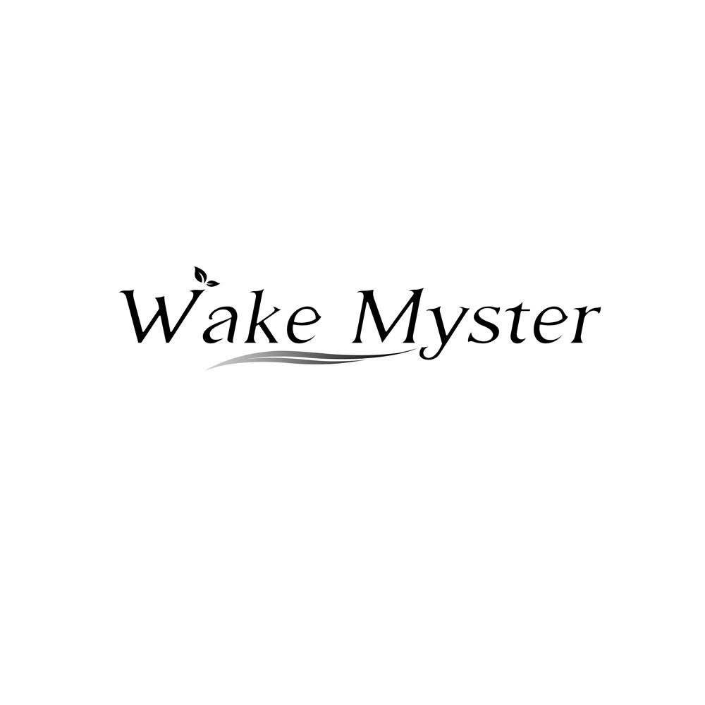 Wake Myster“唤醒之谜”