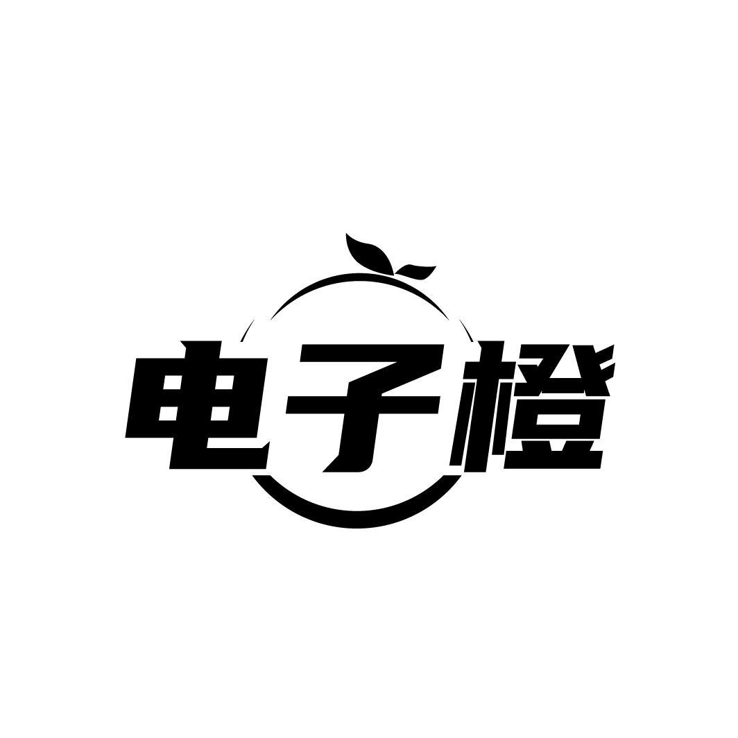 电子橙