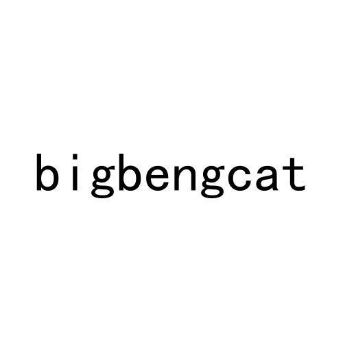 bigbengcat