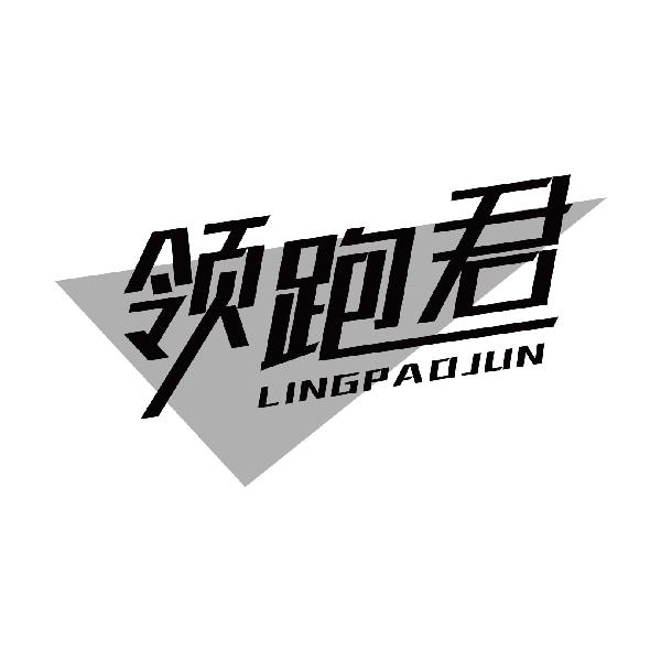 领跑君
lingpaojun