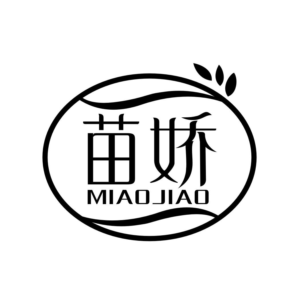 苗娇MIAOJIAO