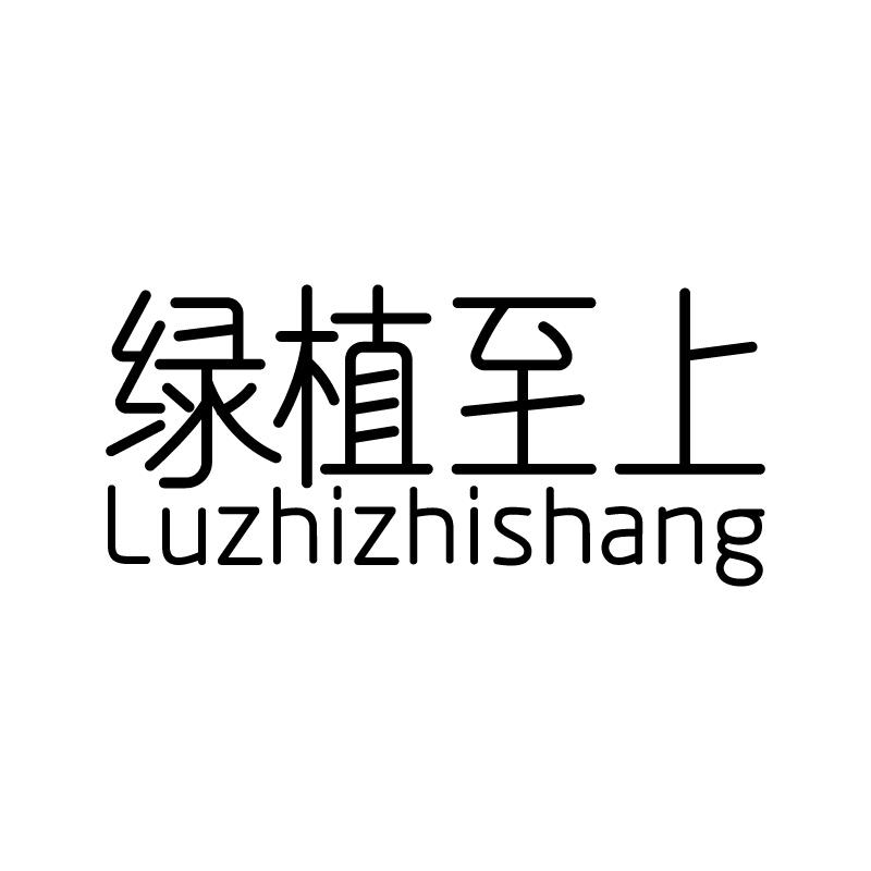 绿植至上 