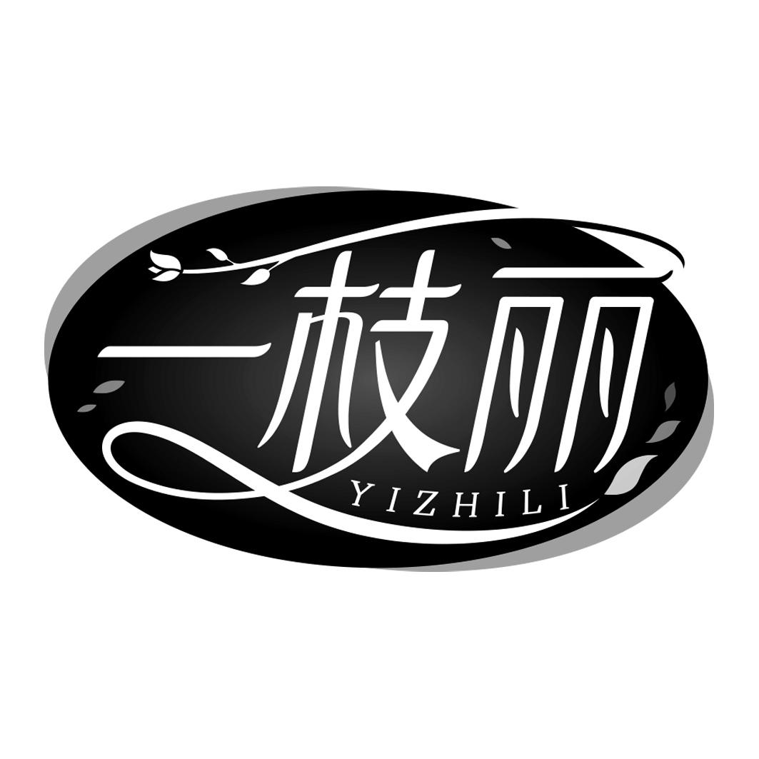 一枝丽       YIZHILI
