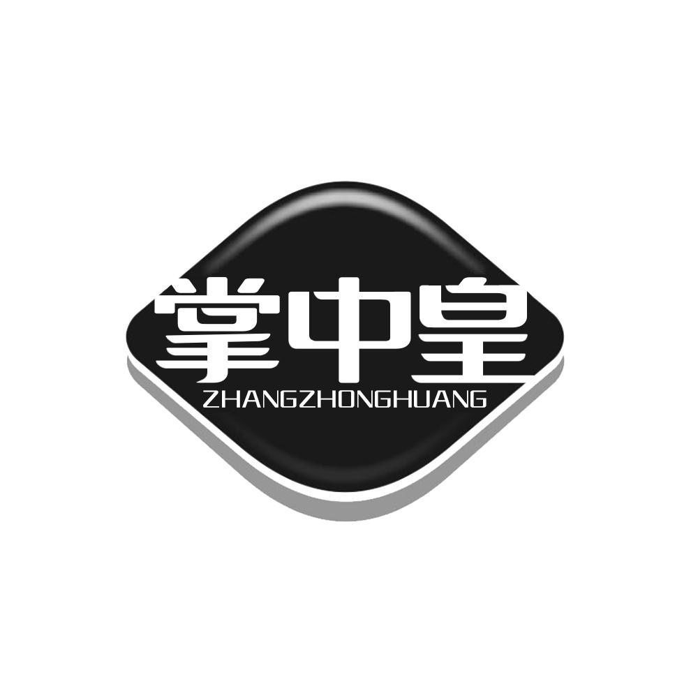 掌中皇