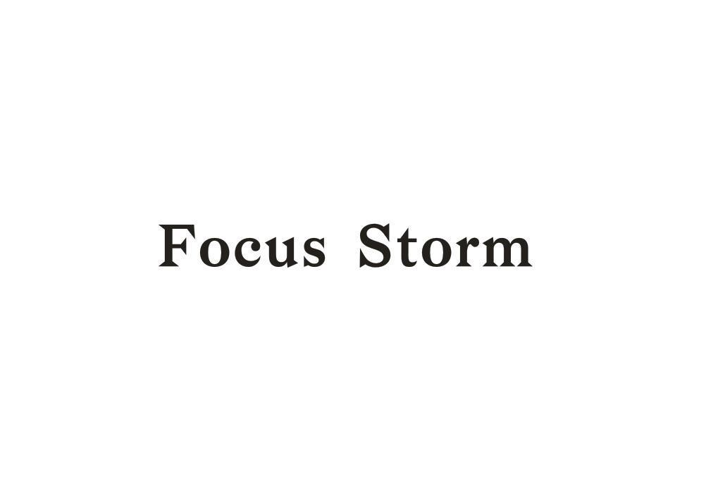 FOCUSSTORM