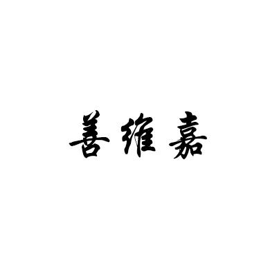 善维嘉