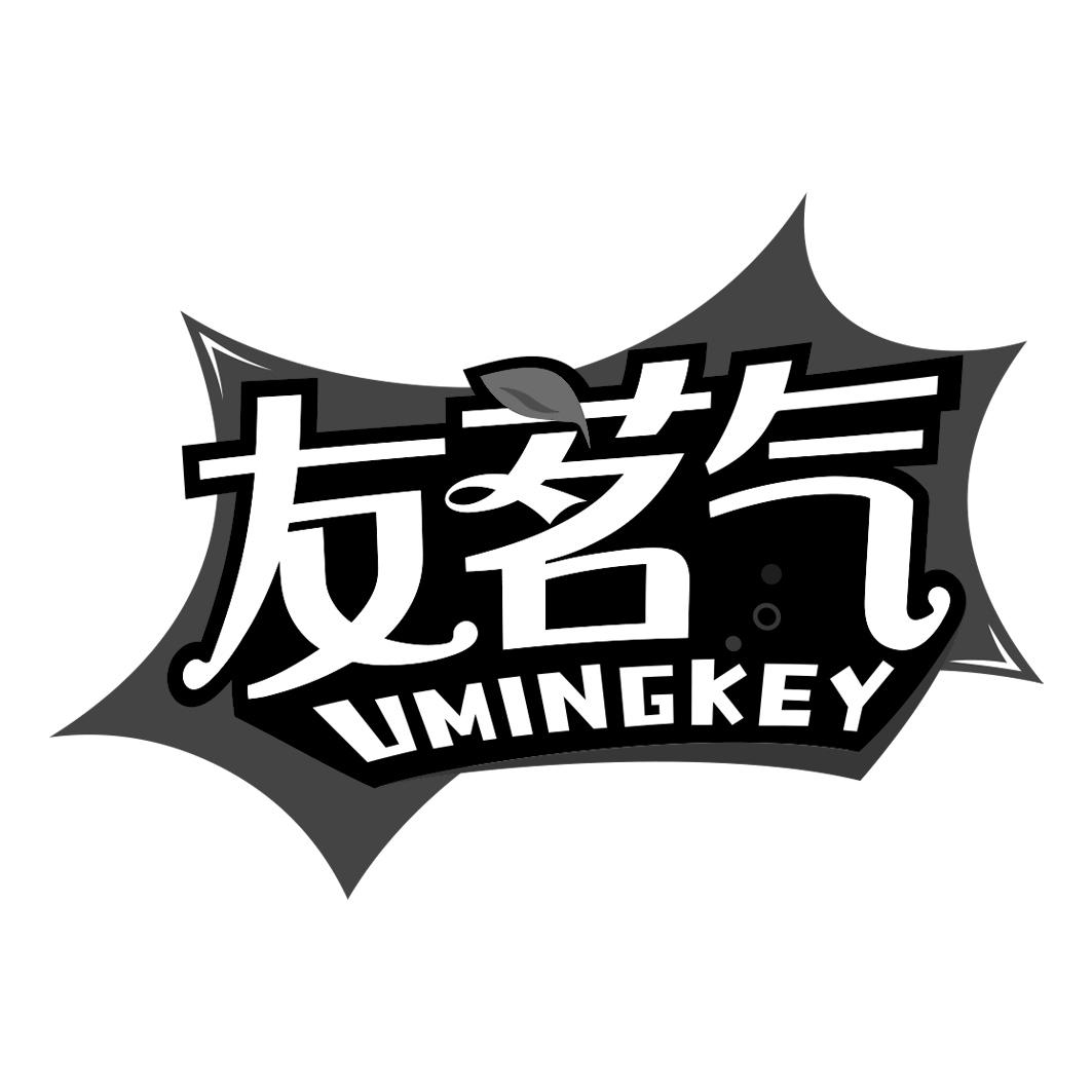 友茗气  UMINGKEY