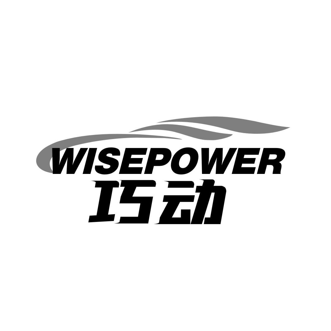 巧动wisepower