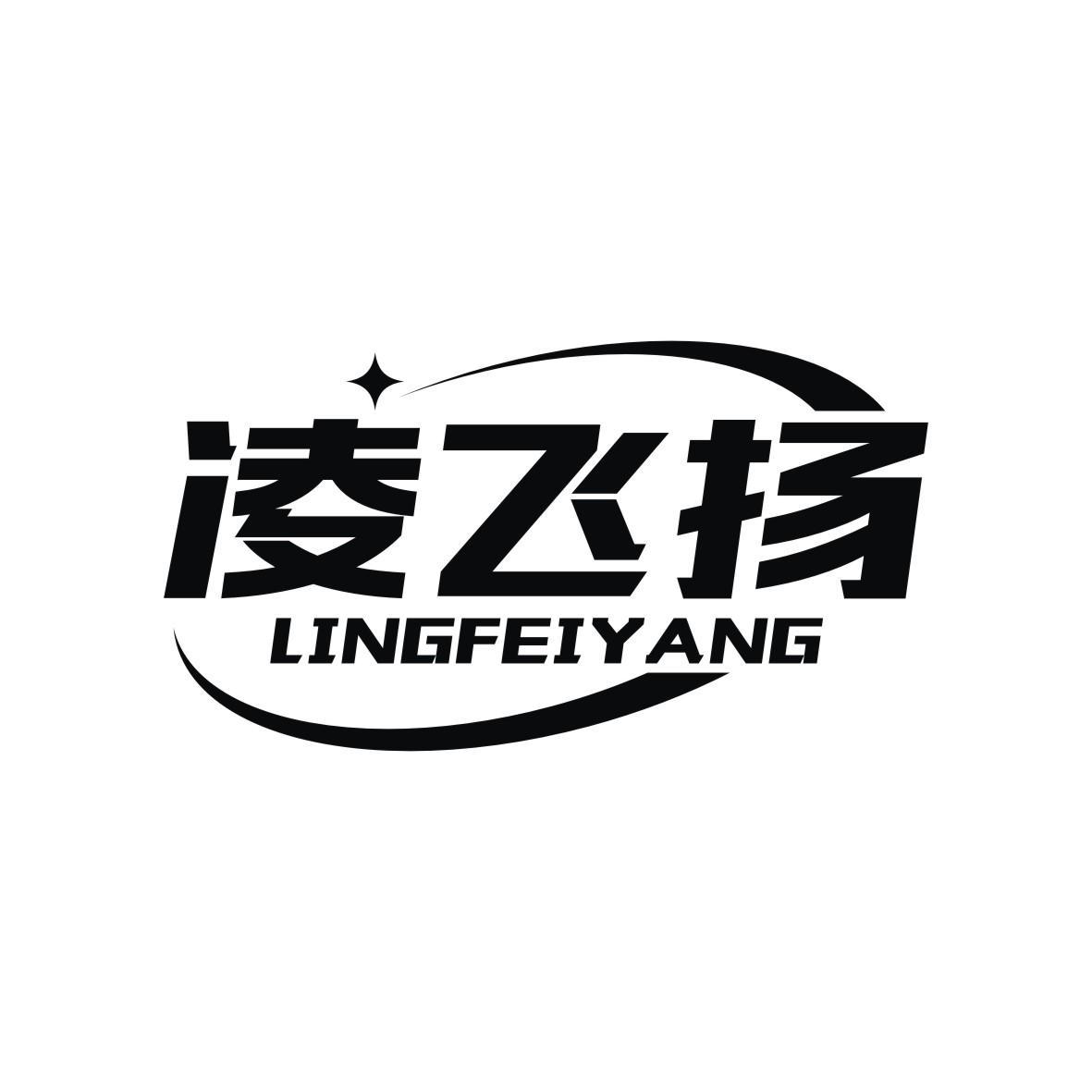 凌飞扬