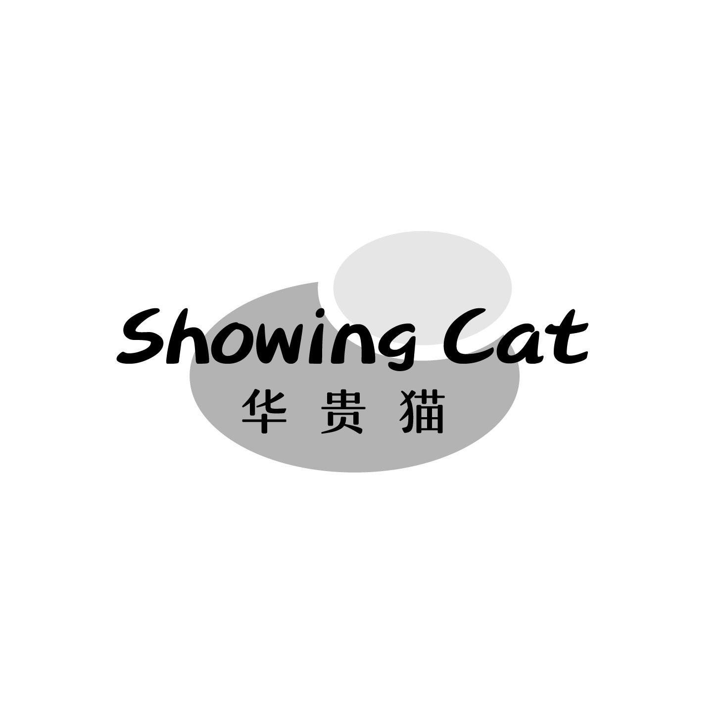 华贵猫