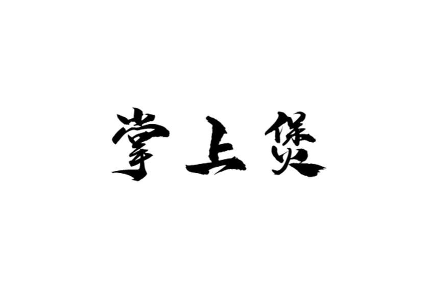 掌上煲
