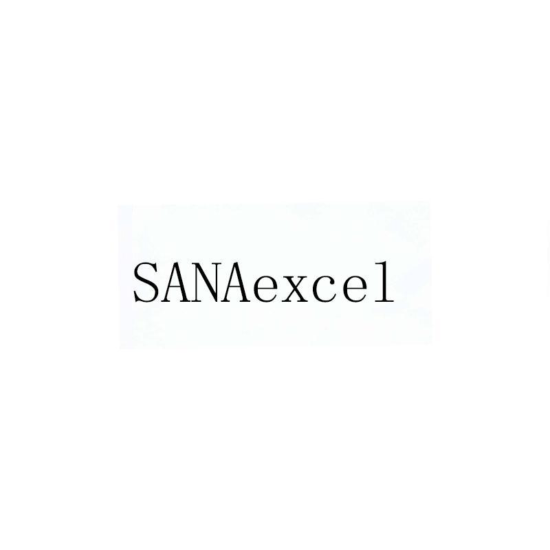 SANAexcel