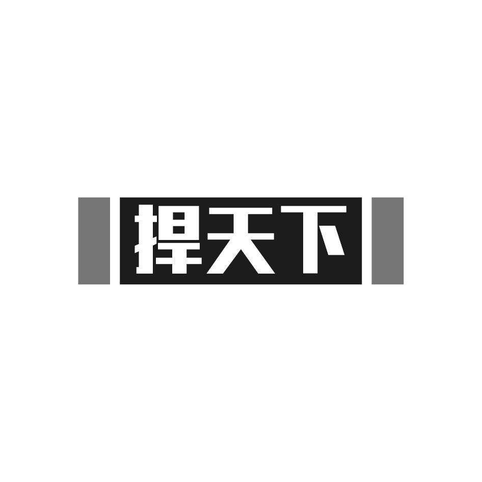 捍天下