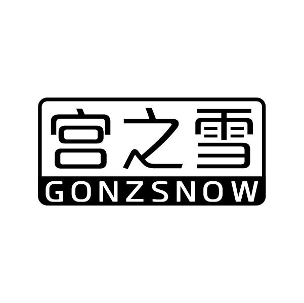 宫之雪
GONZSNOW
