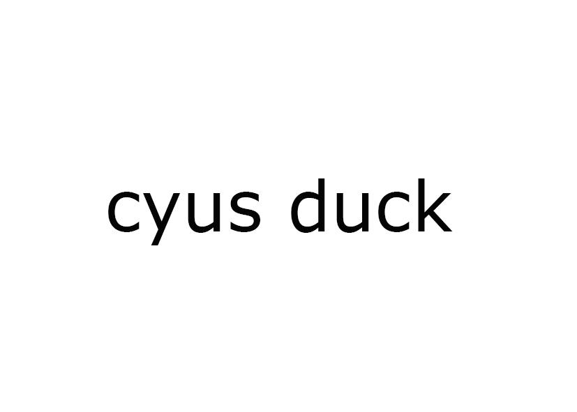 CYUSDUCK
