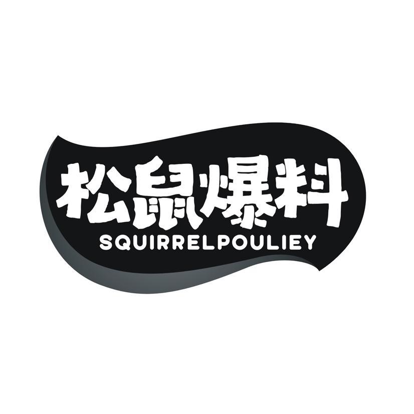 松鼠爆料 SQUIRRELPOULIEY