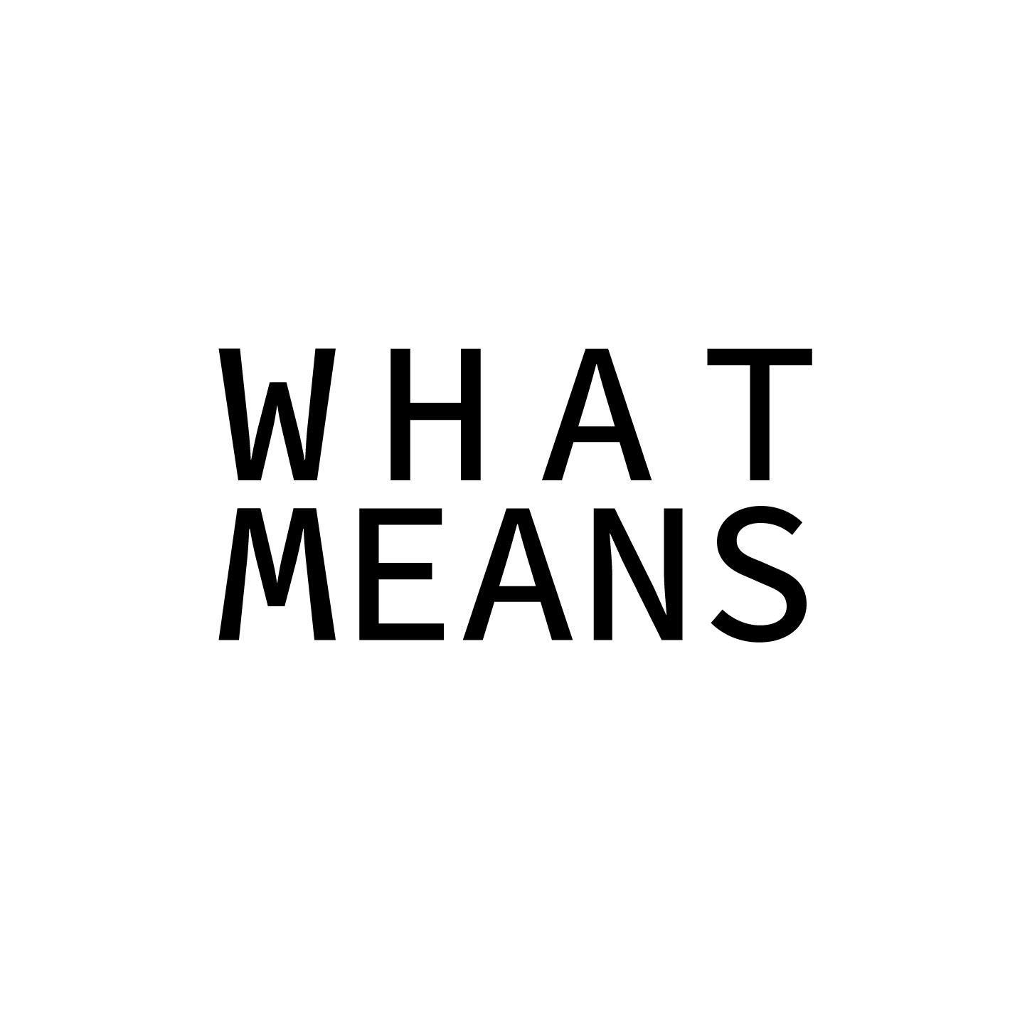WHAT MEANS