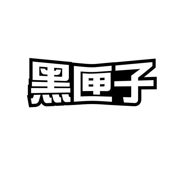 黑匣子