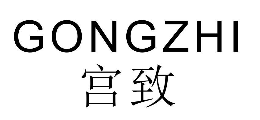 宫致