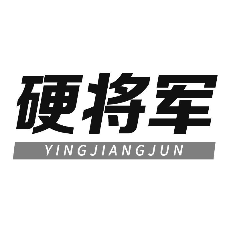 硬将军