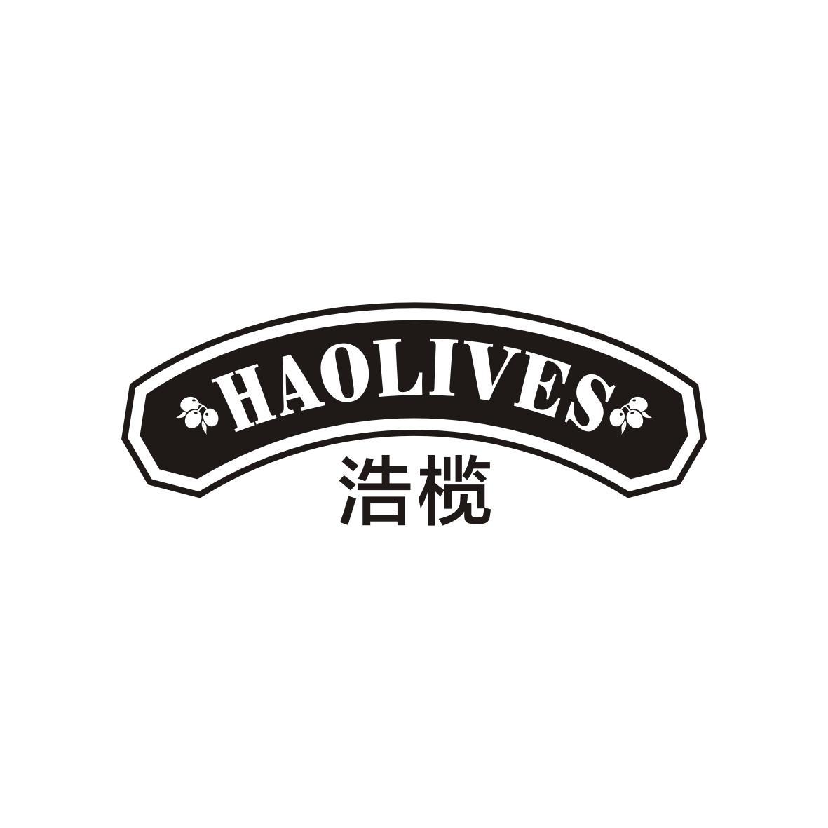 浩榄
HAOLIVES
