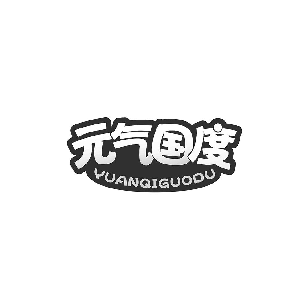 元气国度