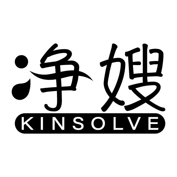 净嫂
KINSOLVE