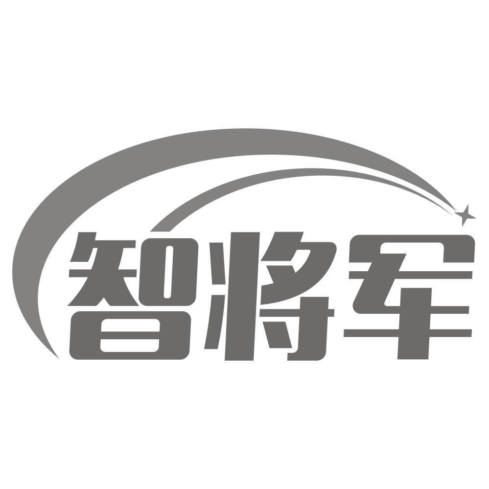 智将军