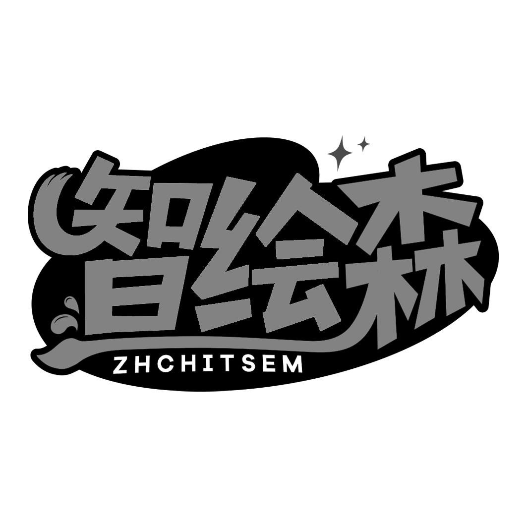 智绘森 ZHCHITSEM