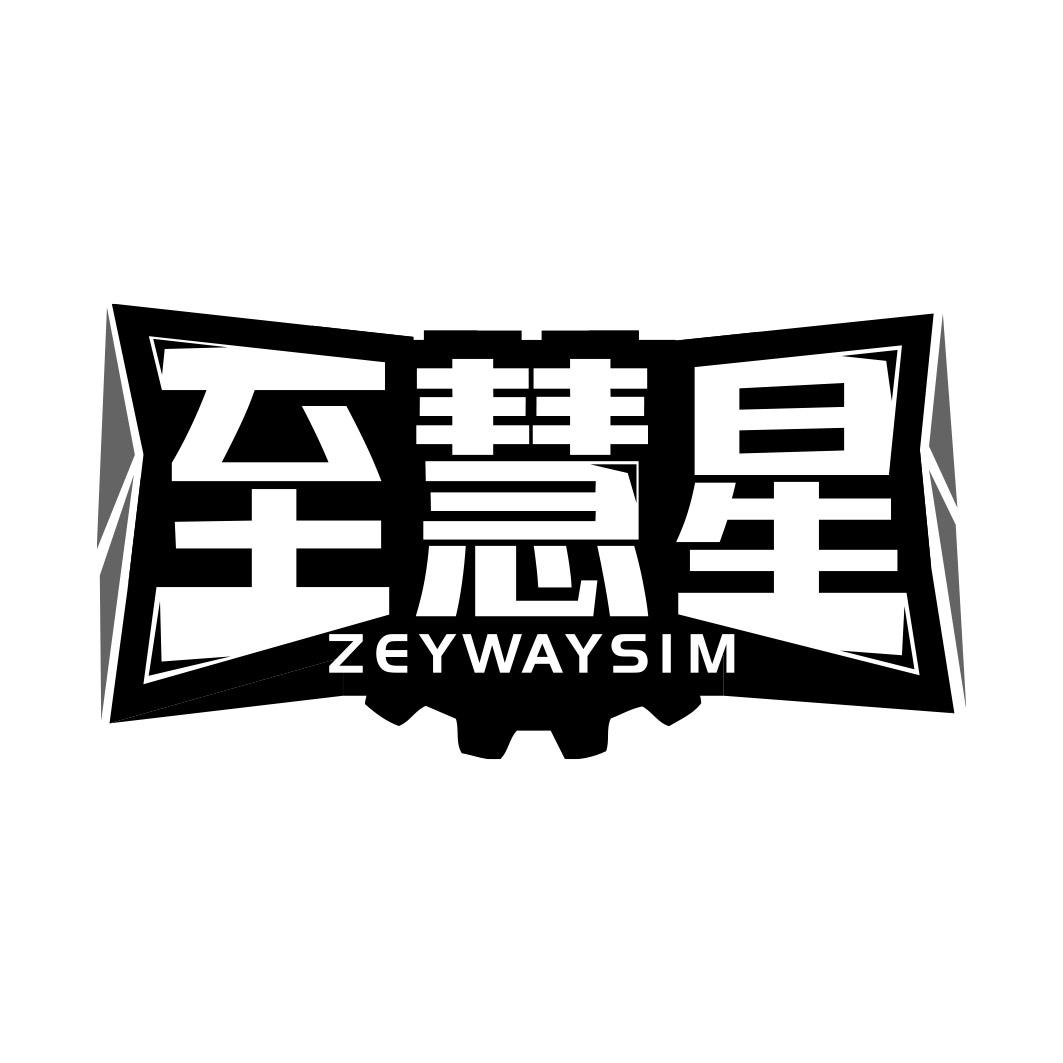 至慧星 ZEYWAYSIM