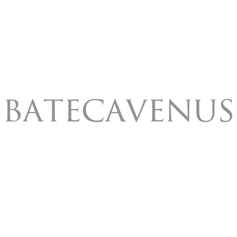 BATECAVENUS