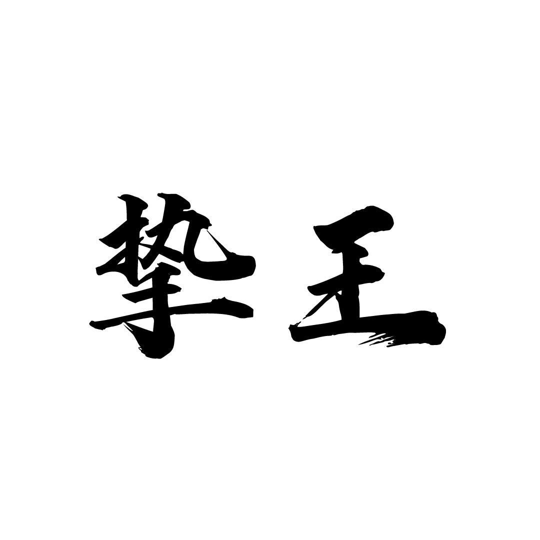 挚王