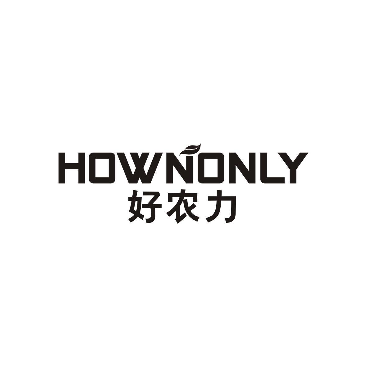 好农力HOWNONLY