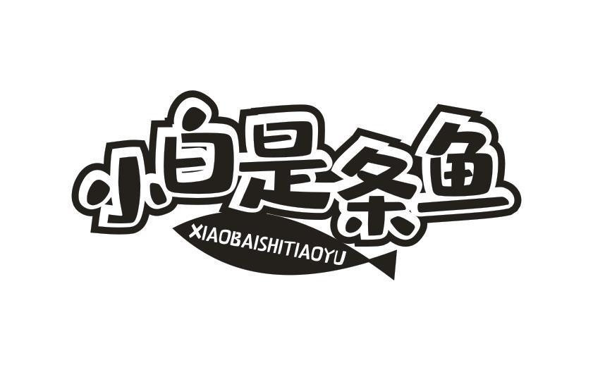 小白是条鱼