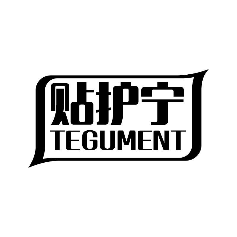 贴护宁 TEGUMENT